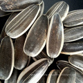 black shelled striped sunflower seeds